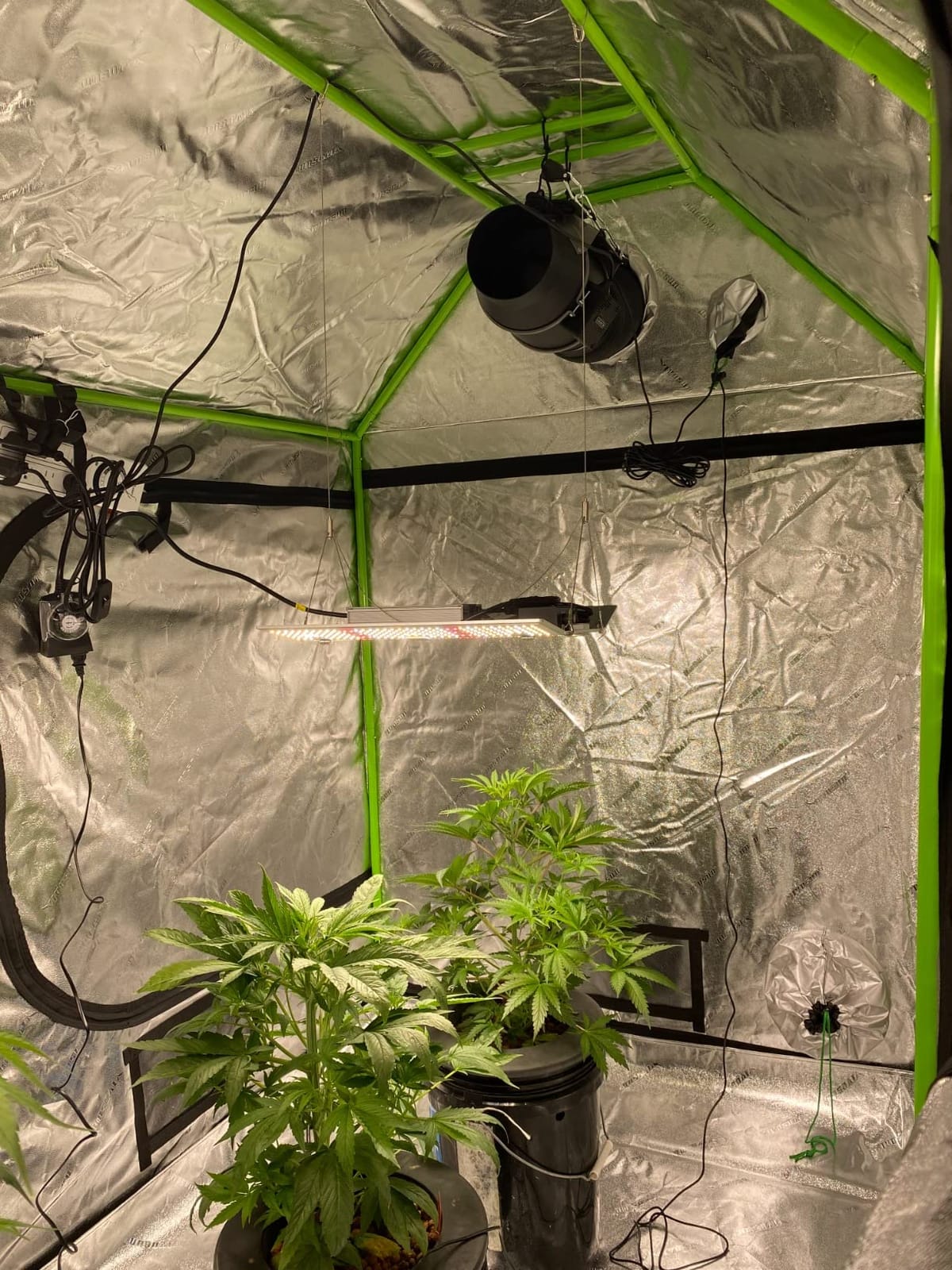 VIVOSUN 2-in-1 4x3 Grow Tent 48