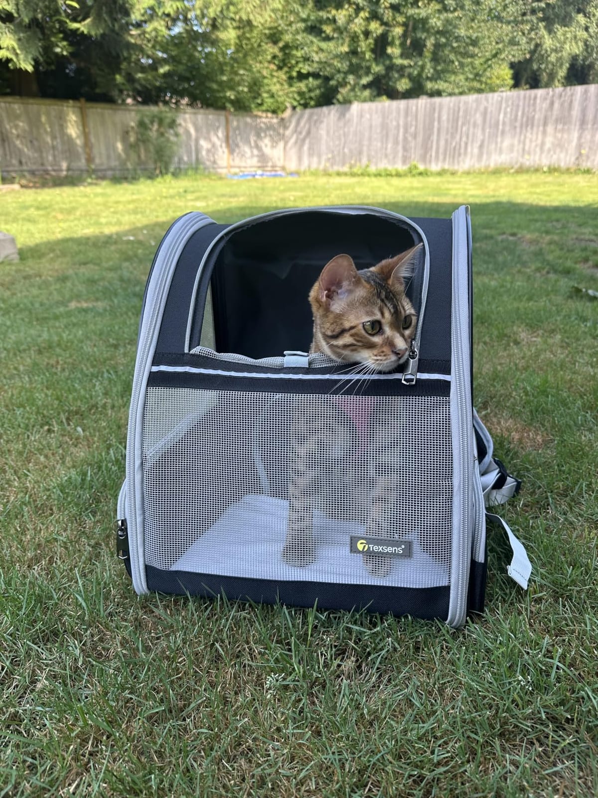 Texsens Innovative Traveler Bubble Backpack Pet Carriers for Cats and Dogs (Black) customer photo 1