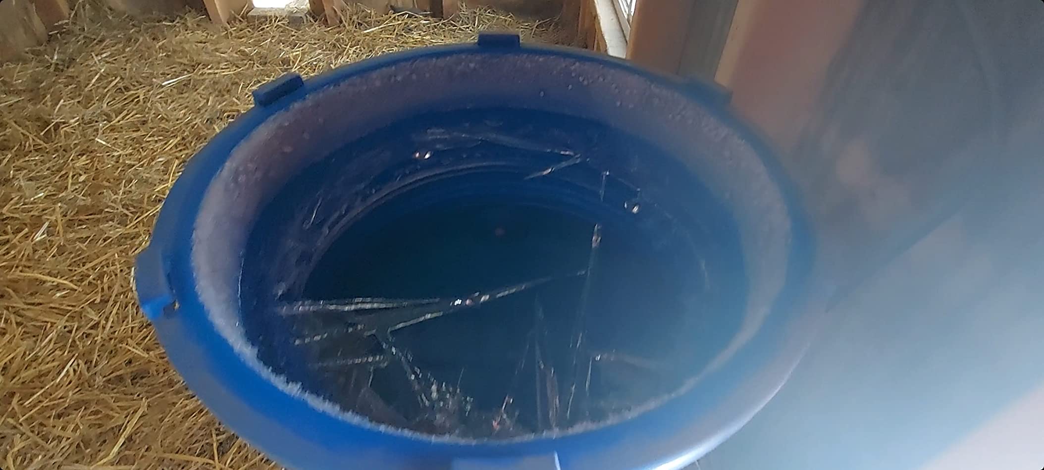 Premier 1 All-Season Heated Poultry Waterer for Chickens & Ducks – 3 Gallon customer photo 2
