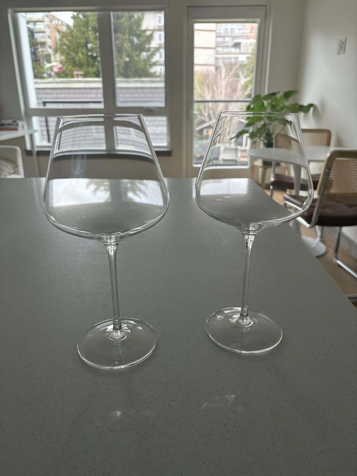 JBHO Hand Blown Italian Style Crystal Burgundy Wine Glasses - Lead-Free Premium Crystal Clear Glass - Set of 2-21 Ounce - Gift-Box for any Occasion customer photo 1