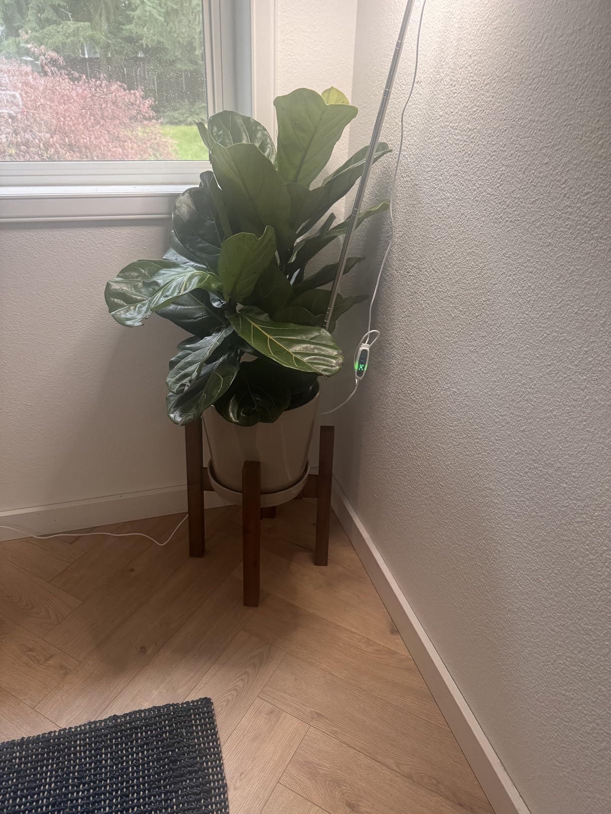 Sophia Mills Mid Century Plant Stand - Solid Wood Item Stand Handmade with Acacia - Fits Medium & Large Pots Sizes 8 to 12 inches (Not Included) (Adjustable Width: 8-12 inches, Dark Brown) customer photo 2