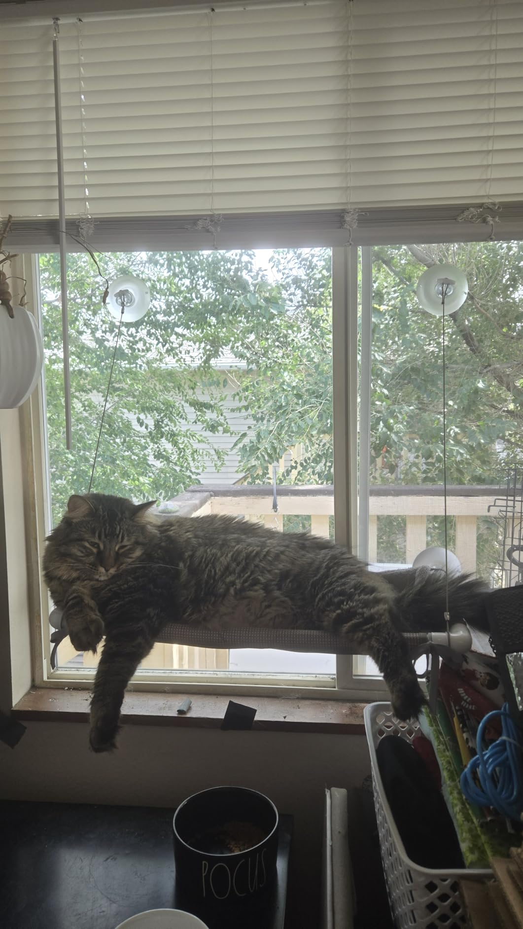 PEFUNY Cat Window Hammock – Mess-Free Waterproof Cats Window Perch for Large Cats, Strong Suction Cup Hammock with Flannel Cover, Indoor Cat Seat, Beige customer photo 1