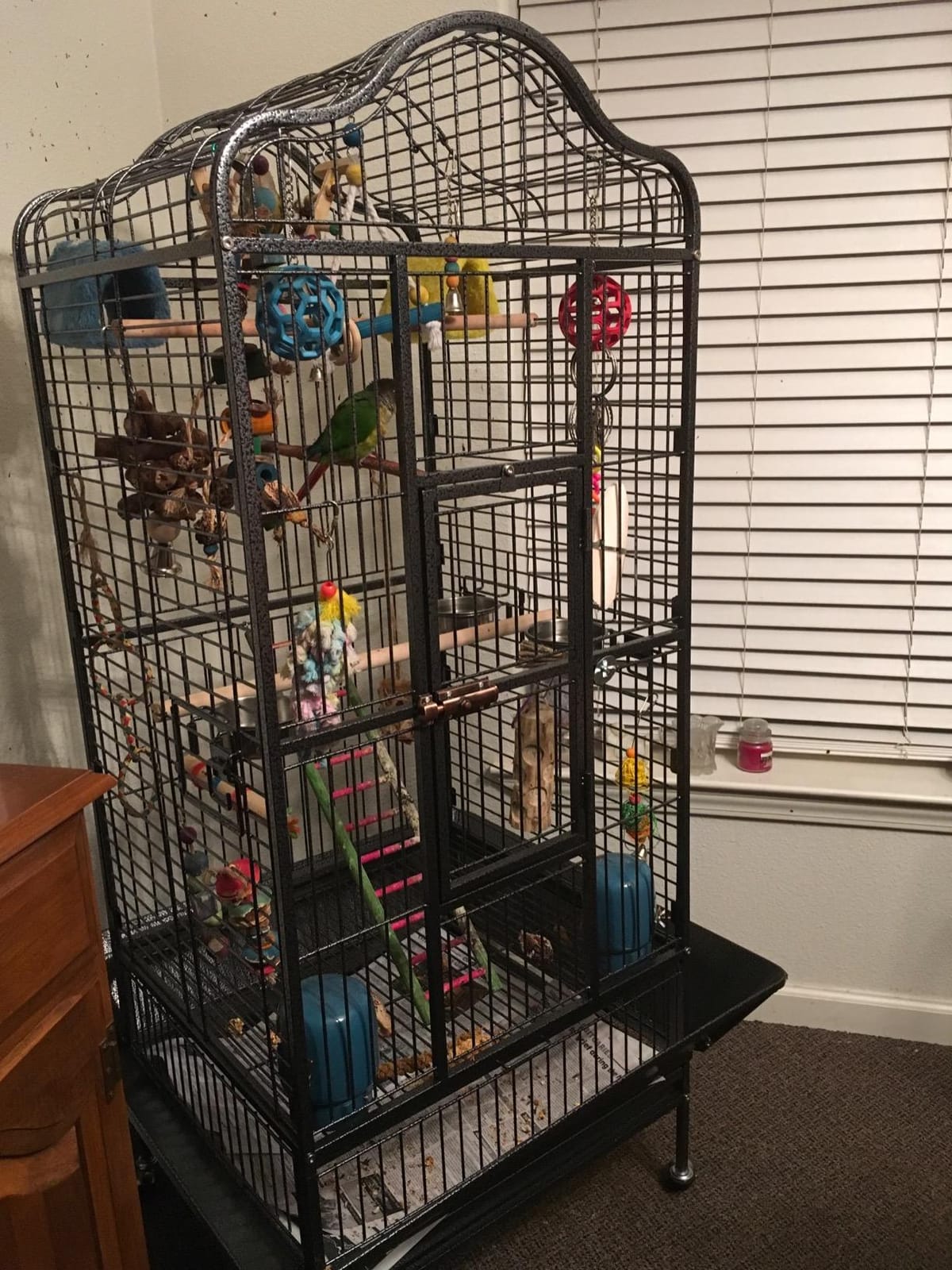 Yaheetech 63'' Bird Cage with Stand Wrought Iron Rolling Open Play Top Large Bird Cage for Mini Macaw African Grey Amazon Parrot customer photo 1