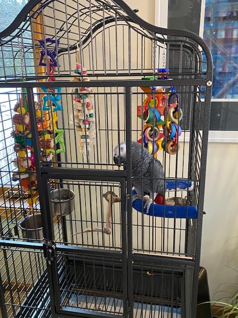 Yaheetech 63'' Bird Cage with Stand Wrought Iron Rolling Open Play Top Large Bird Cage for Mini Macaw African Grey Amazon Parrot customer photo 2