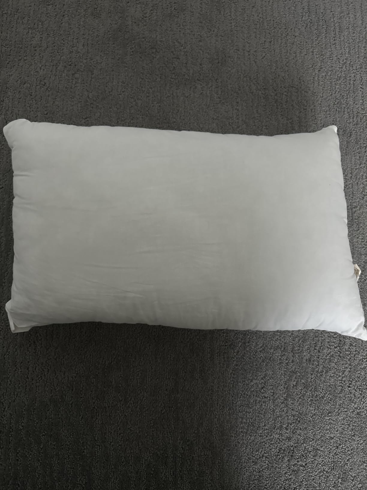 KeaBabies 2pk Toddler Pillows 2 Year Old to 5,13x18 Kids Pillow(Soft White) customer photo 1