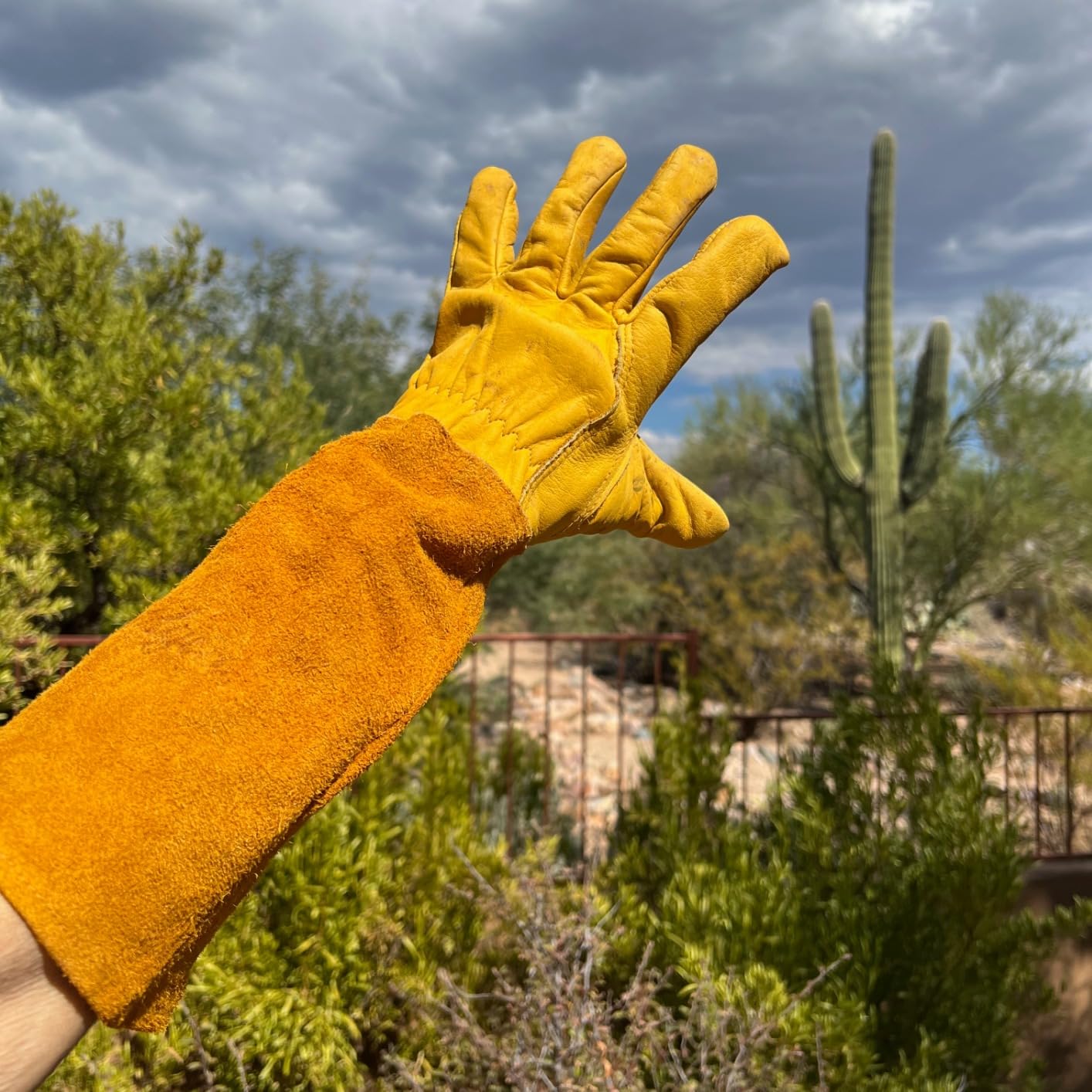 Acdyion Thorn Proof Gardening Gloves for Men & Women,yellow,Large customer photo 2