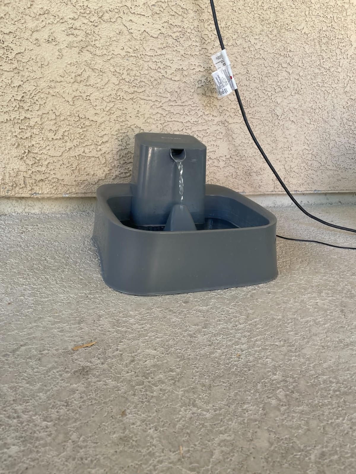 PetSafe Oasys Pet Fountain, 1/2 Gallon (64 oz), Small Dogs & Cats customer photo 2
