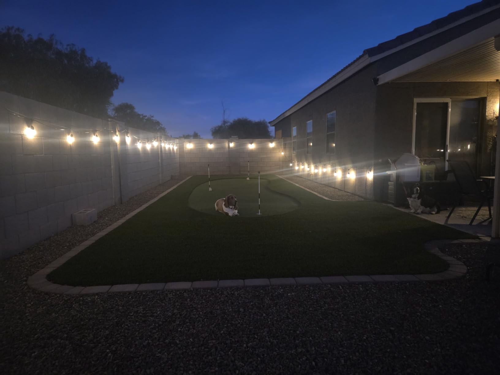 addlon LED Outdoor String Lights 48FT Edison Vintage Weatherproof ETL customer photo 1