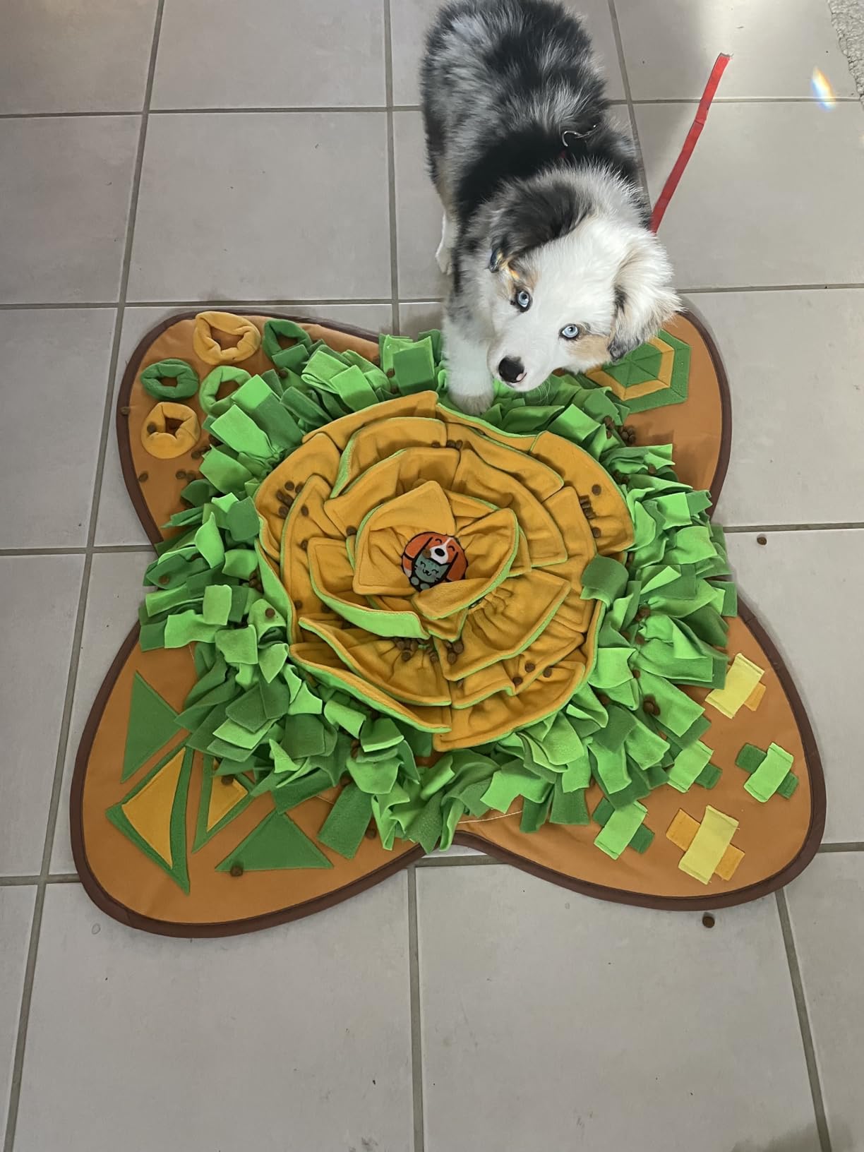 AWOOF Snuffle Mat Pet Dog Feeding Mat, 28''x28'' Interactive Dog Puzzle Toys Encourages Natural Foraging Skills customer photo 1