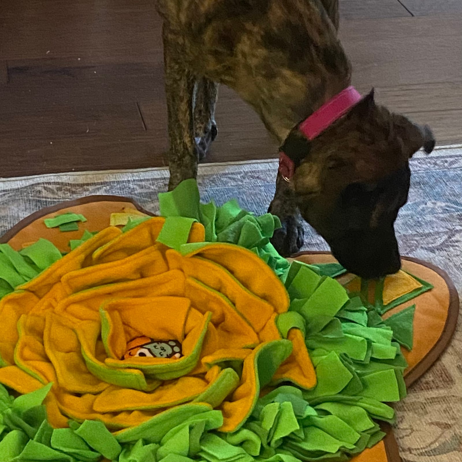 AWOOF Snuffle Mat Pet Dog Feeding Mat, 28''x28'' Interactive Dog Puzzle Toys Encourages Natural Foraging Skills customer photo 2