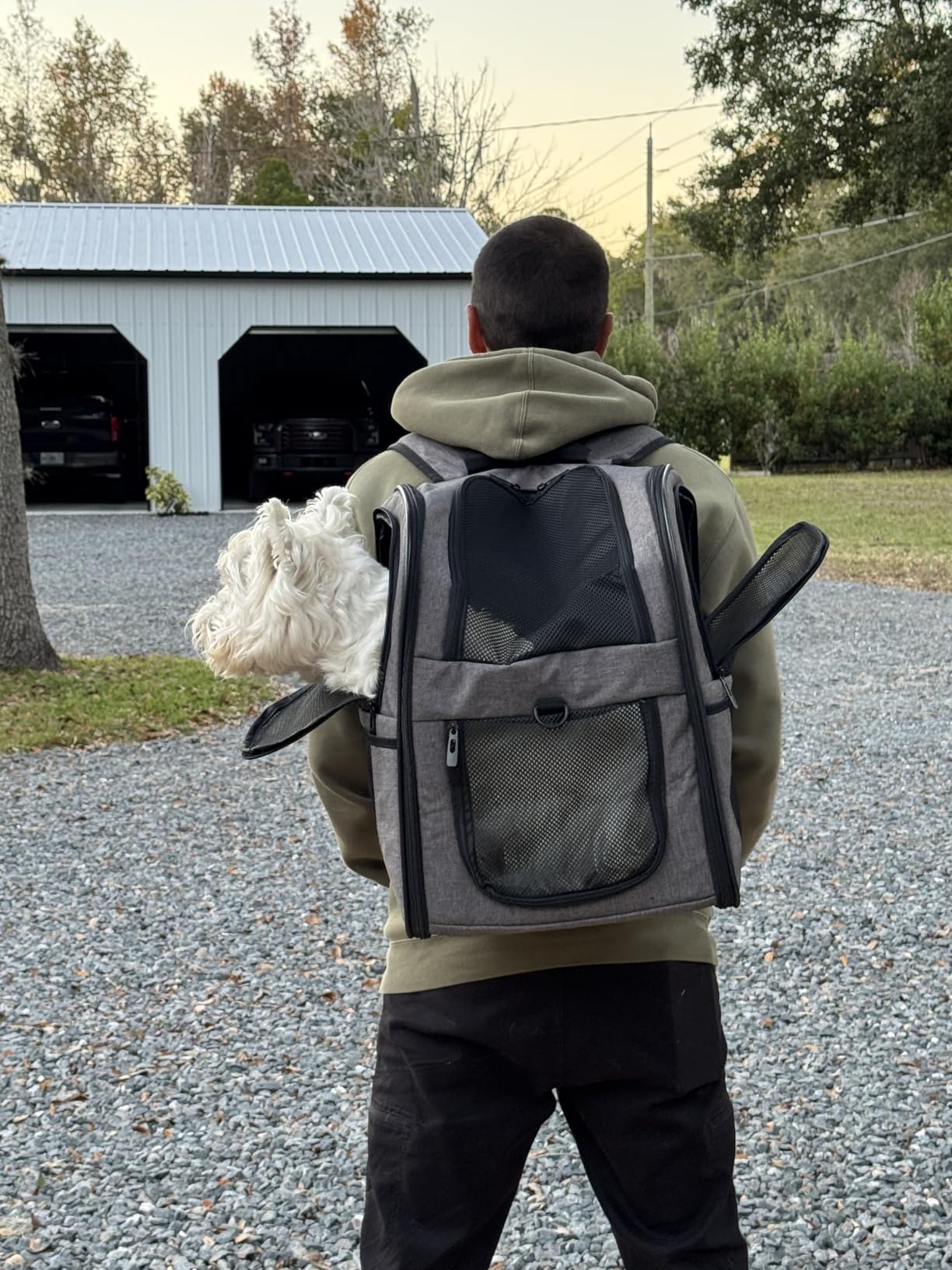 Apollo Walker Cat Carrier Backpack for Small Dogs and Cats Up to 18 lb customer photo 1