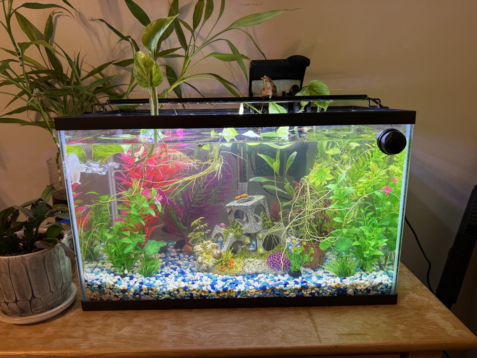 AQUANEAT LED Aquarium Light Full Spectrum for 18 Inch to 24 Inch Fish Tank Light Fresh Water customer photo 1