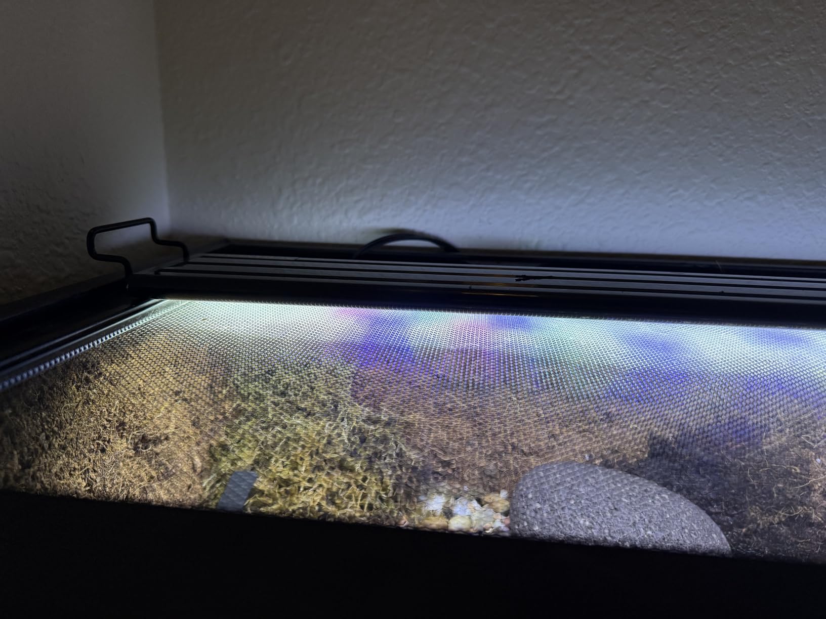AQUANEAT LED Aquarium Light Full Spectrum for 18 Inch to 24 Inch Fish Tank Light Fresh Water customer photo 2