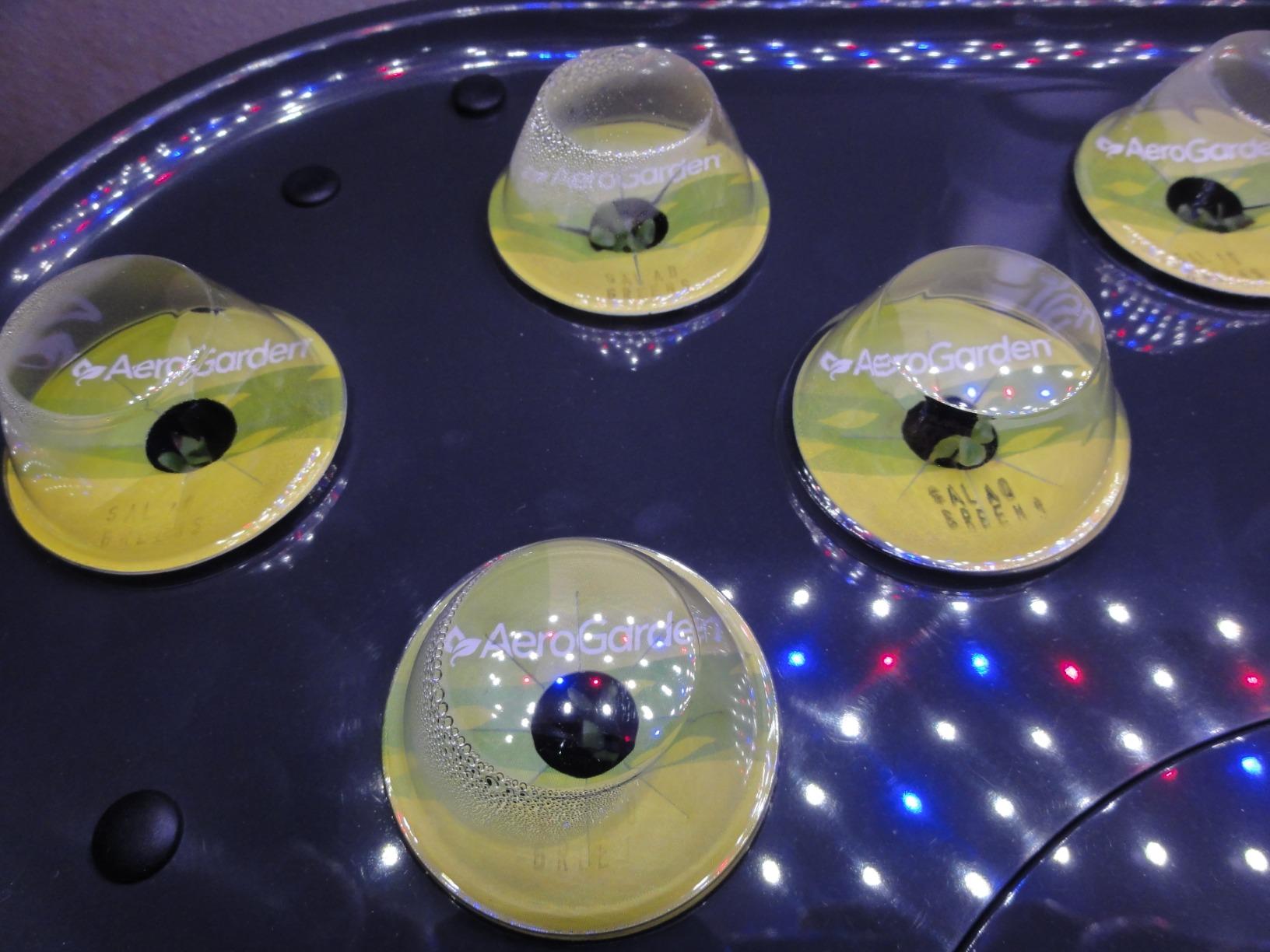 AeroGarden Bounty, White customer photo 1