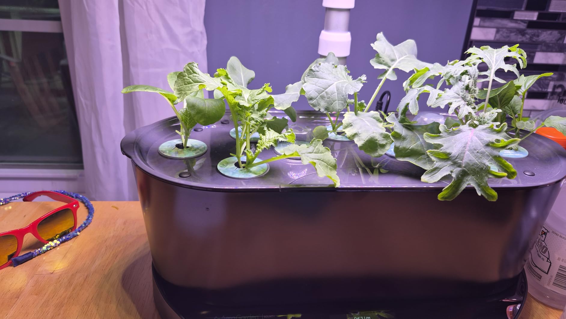 AeroGarden Bounty, White customer photo 2