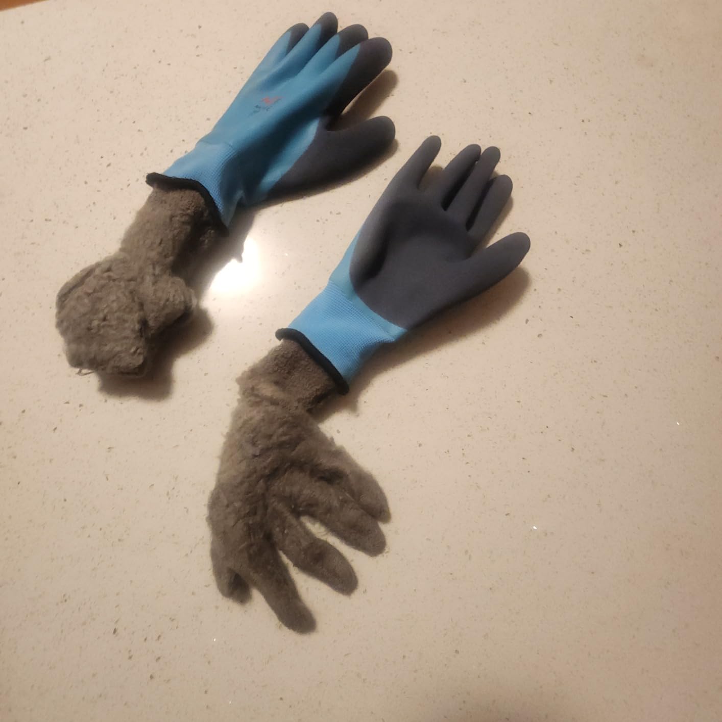 Waterproof Work Gloves for Men and Women, Hycool Thermal Insulated Freezer Rubber Coated Gloves,Super Grip L6201 customer photo 1