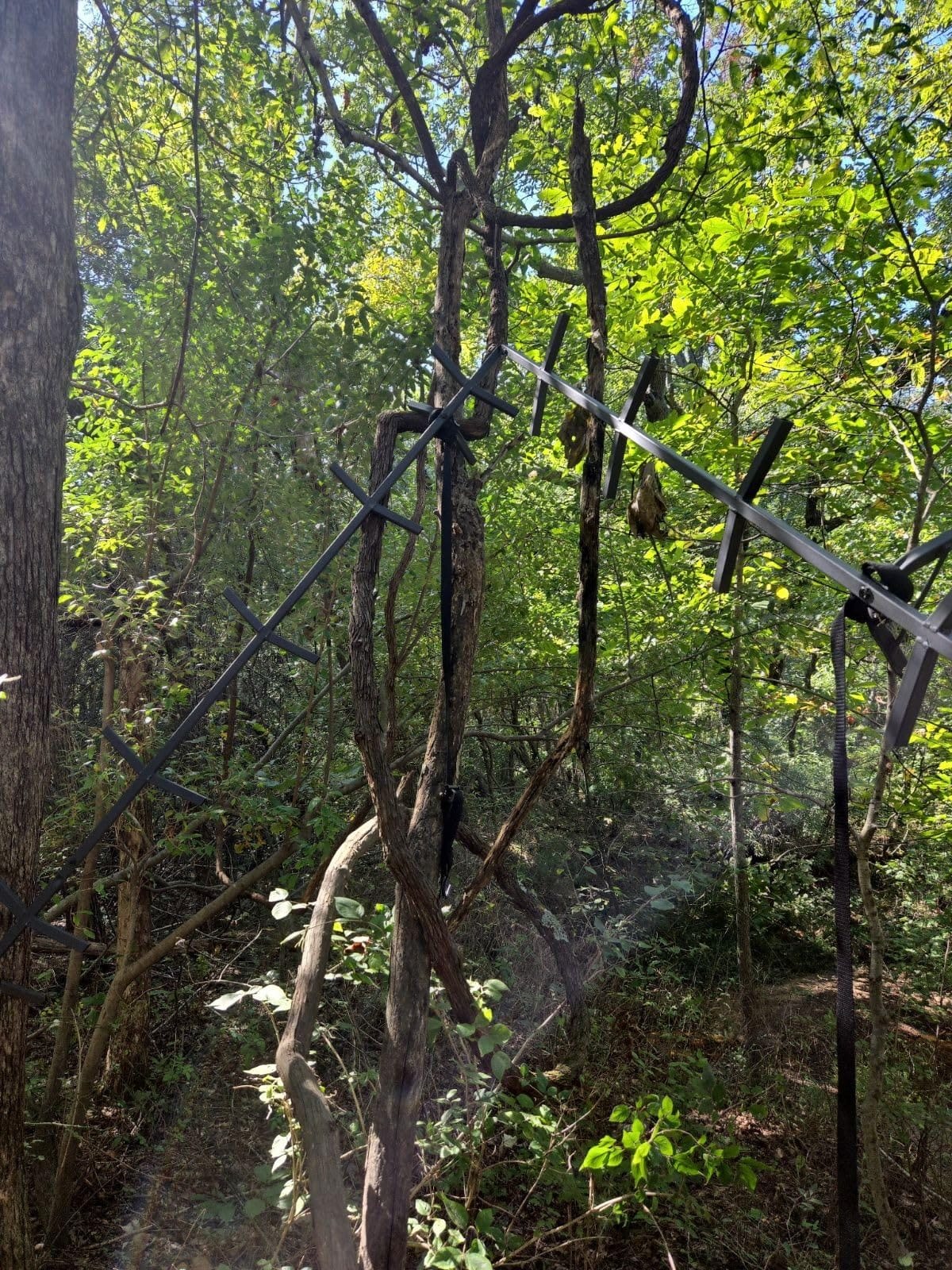 Guide Gear Full Step Climbing Stick Ladder for Tree Stands, Deer Hunting Gear and Accessories, Full Step, 25’ customer photo 2
