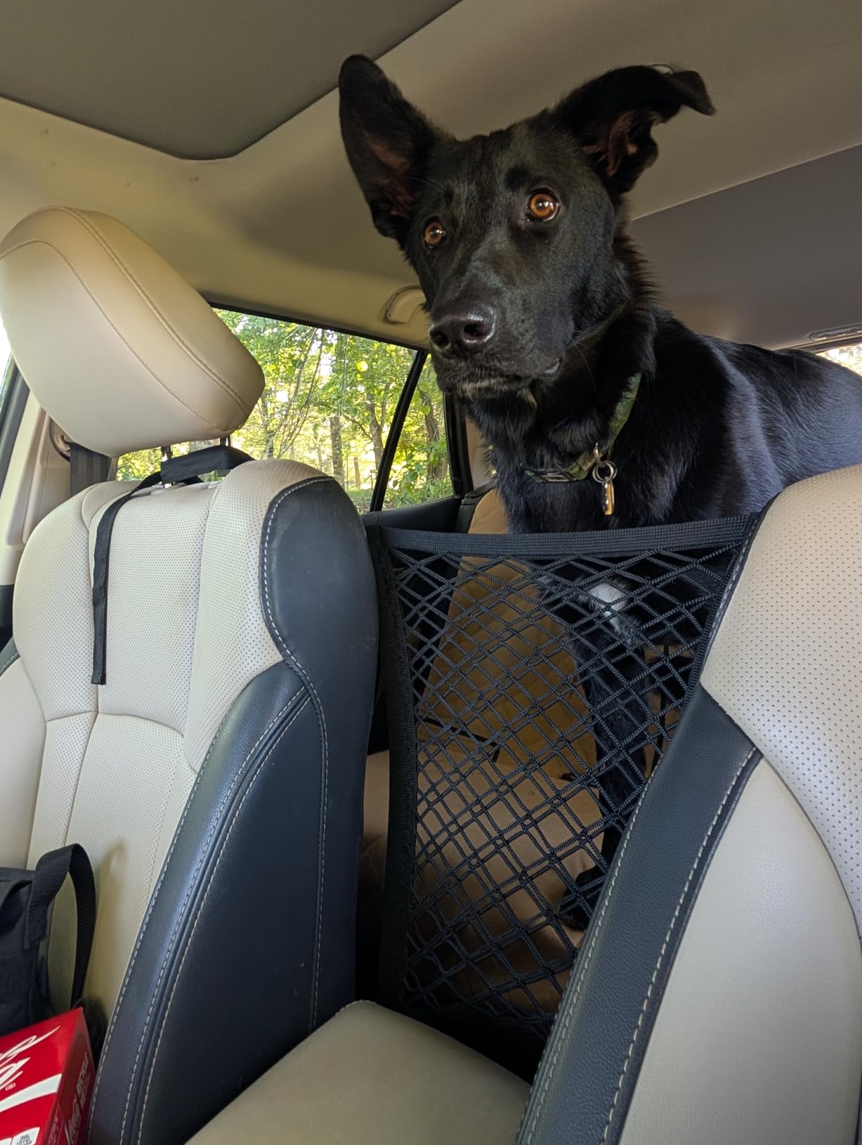 DYKESON Dog Car Net Barrier Pet Barrier with Car Mesh Organizer for Dog & Child, Safety Divider with Upgraded Storage Pouch, Easy Install for Cars & SUVs customer photo 2