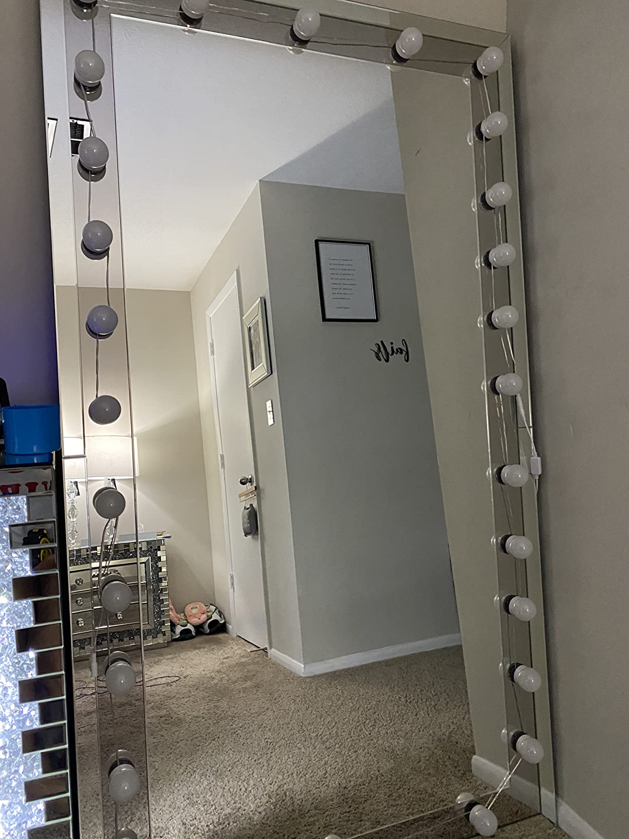 10x Magnifying Mirror with Light, Flexible Gooseneck Travel Make up Mirror customer photo 1