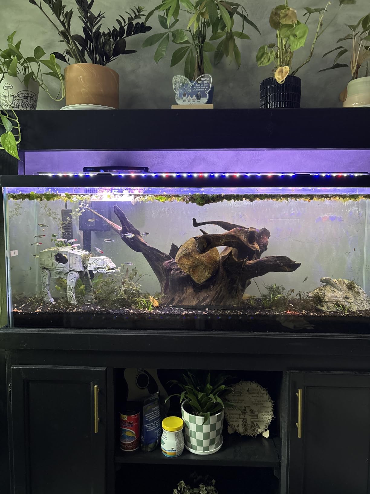 hygger 14W Full Spectrum Aquarium Light with Aluminum Alloy Shell Extendable Brackets, White Blue Red LEDs, External Controller, for Freshwater Fish Tank (18-24 inch) customer photo 1