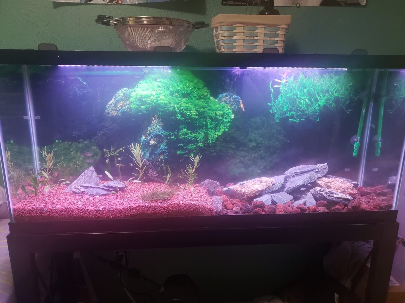 hygger 14W Full Spectrum Aquarium Light with Aluminum Alloy Shell Extendable Brackets, White Blue Red LEDs, External Controller, for Freshwater Fish Tank (18-24 inch) customer photo 2