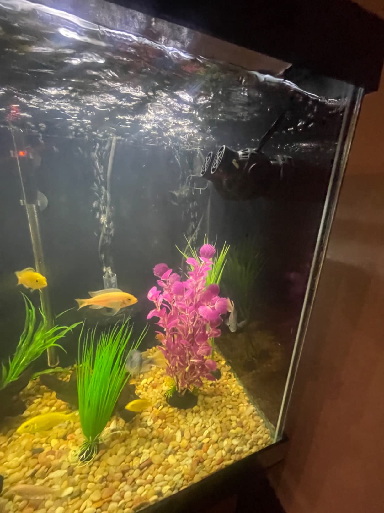 FREESEA Magnetic Wave Maker for Aquarium: 1s Mounts on 15mm Glass Secure customer photo 1