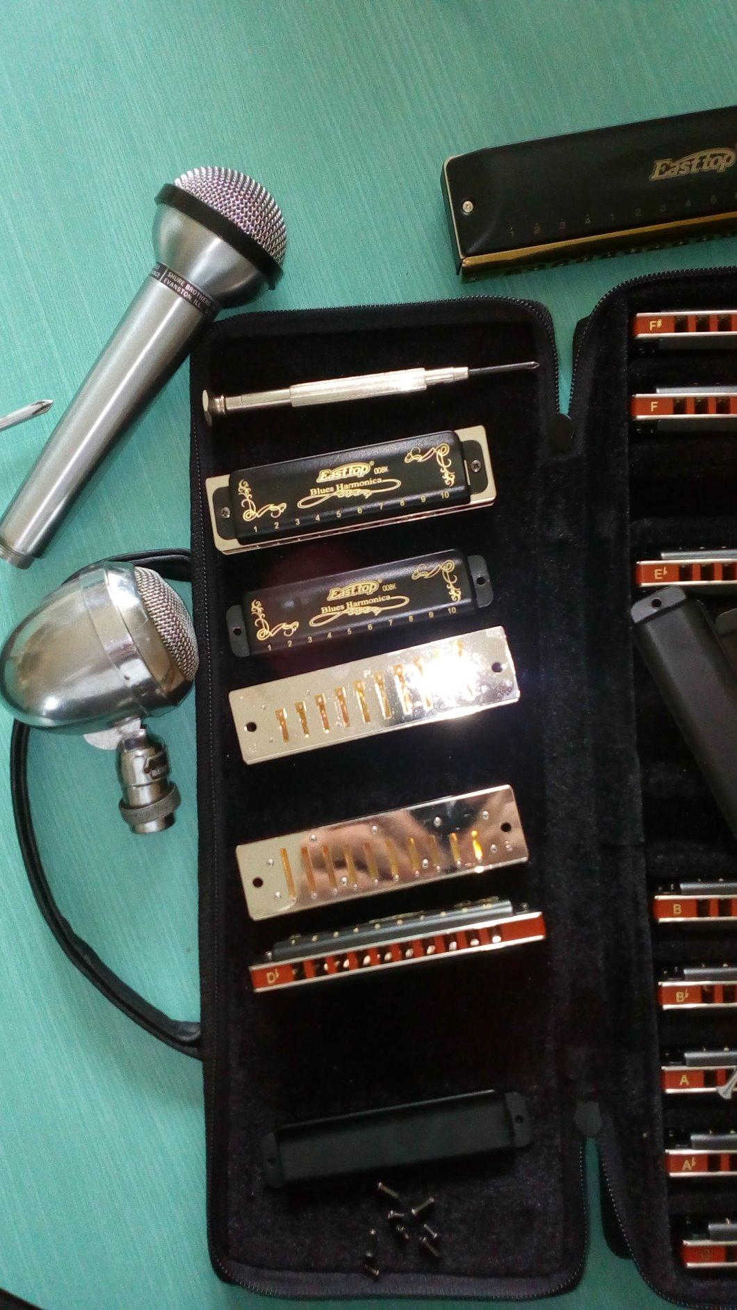 East top Blues Diatonic Harmonica Set of 12, 10 Holes 20 Tones 008K Blues harmonica Mouth Organ Set, 12 Keys with Blue Case for Adults, Professionals and Students, as Gift(12) customer photo 1