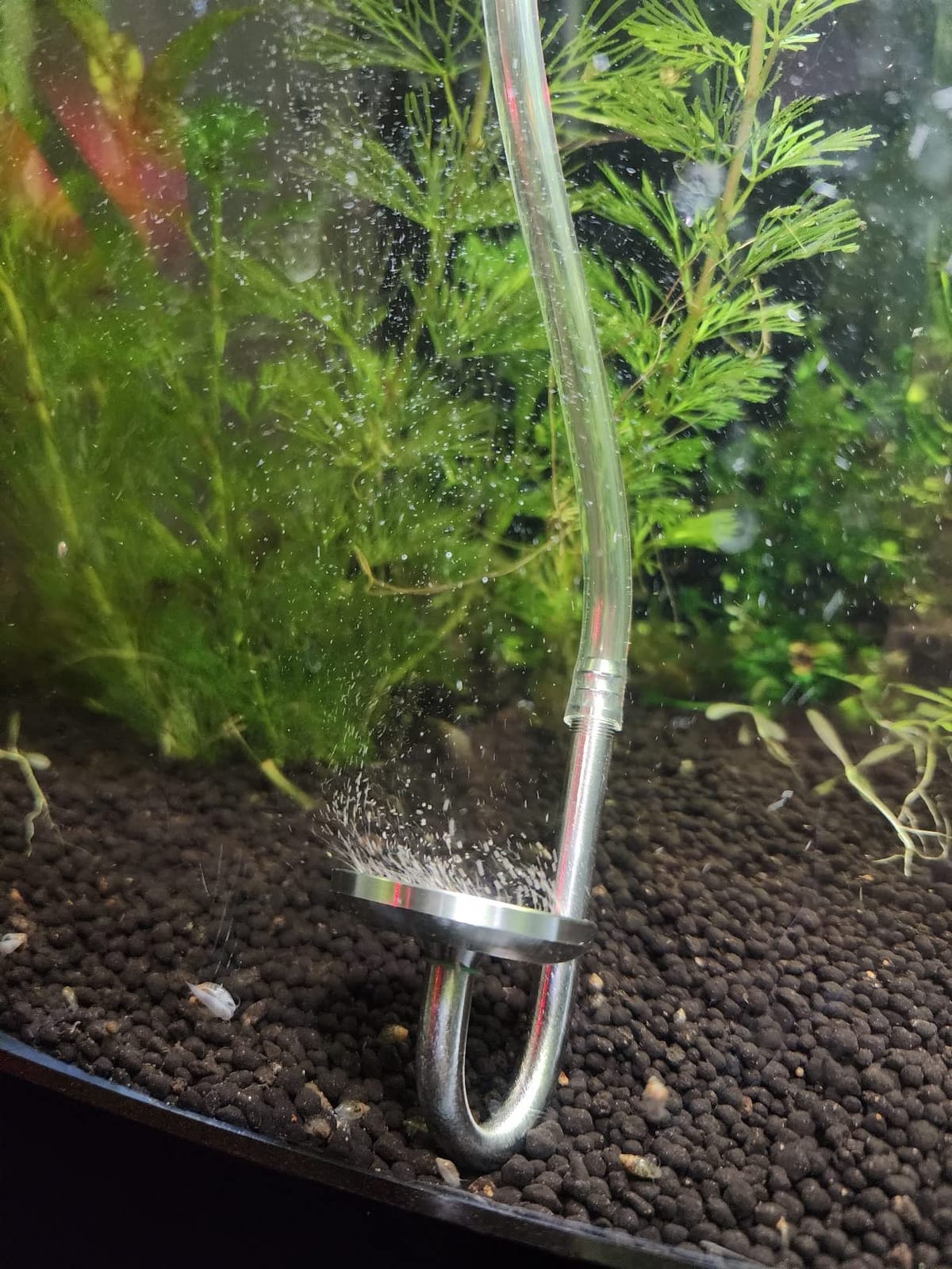 2L Aquarium Co2 System with Pressure Gauge for Aquarium Plants customer photo 2