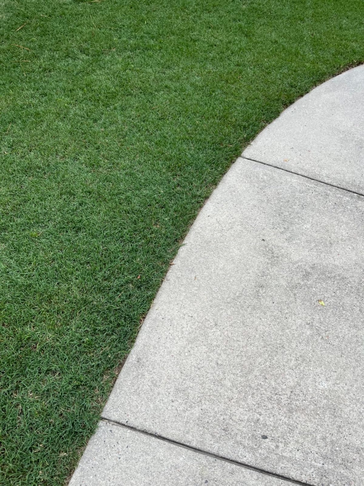 Scotts 716-18S 18-Inch 7-Blade Push Reel Lawn Mower, Green customer photo 2