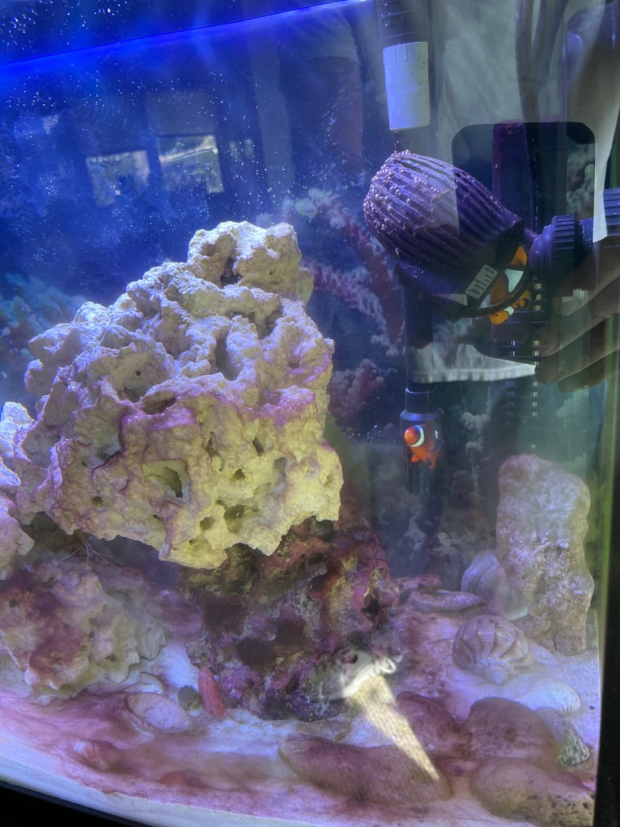 AQUANEAT Aquarium Wavemaker Circulation Pump, 480GPH Fish Tank Powerhead, Submersible Water Pump, Magnetic Base customer photo 1