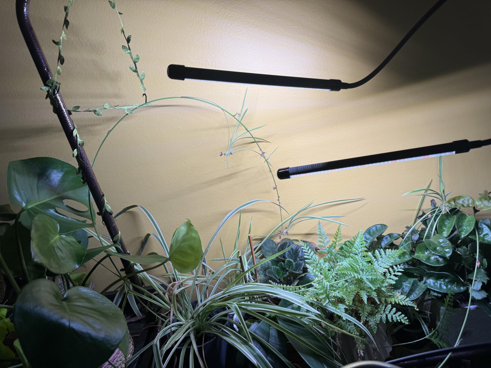 GooingTop Grow Light,6000K Full Spectrum Indoor Plant Growing Lamp customer photo 1