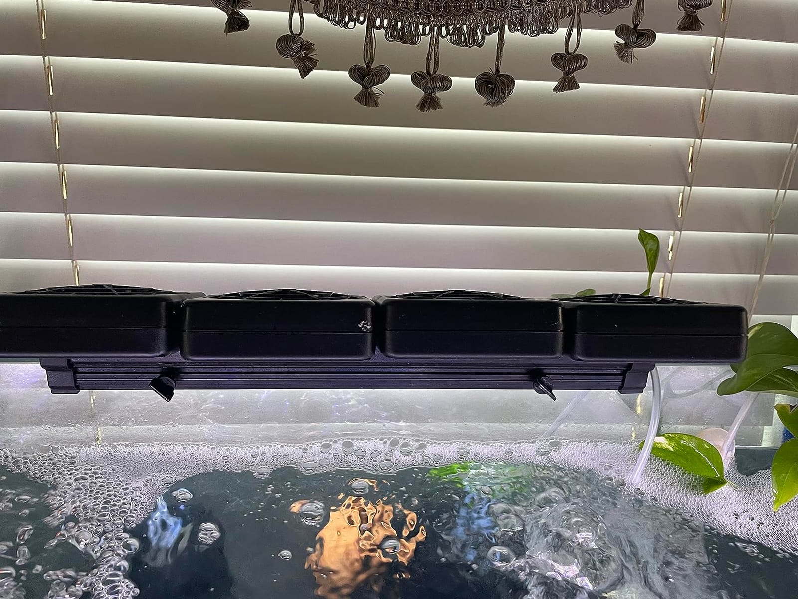 DaToo Aquarium Chiller Fish Tank Fan Aquarium Cooling Fan, 1 Yr Warranty customer photo 1