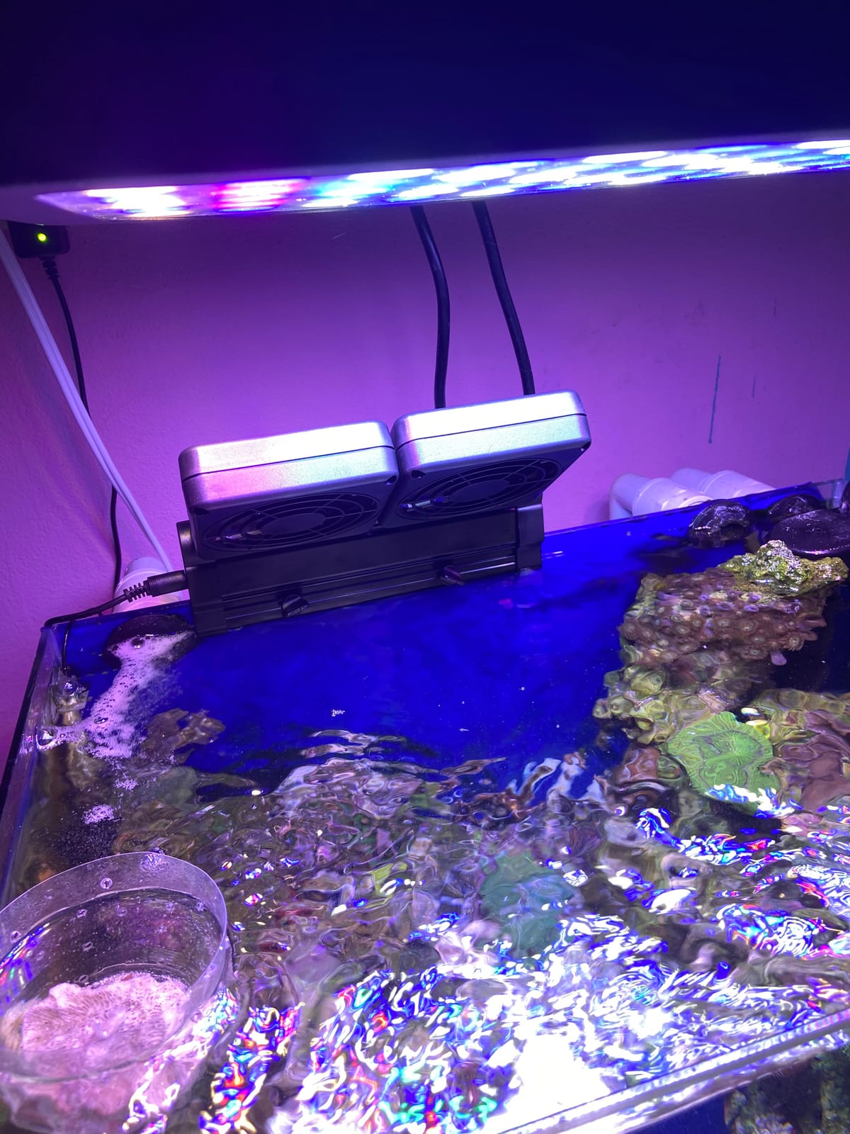 DaToo Aquarium Chiller Fish Tank Fan Aquarium Cooling Fan, 1 Yr Warranty customer photo 2