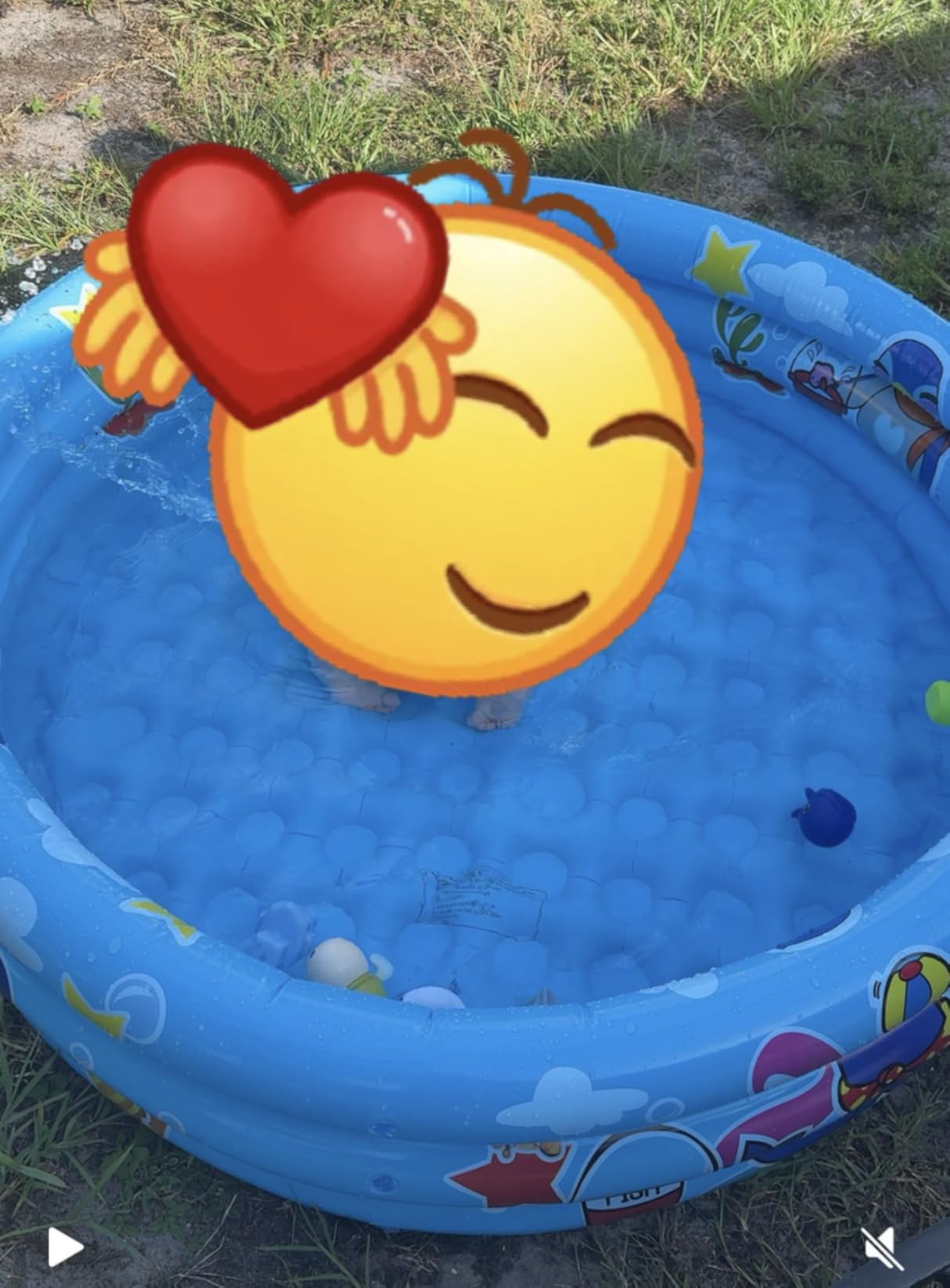 3 Rings Kiddie Pool for Toddler, 48”X12”,Kids Swimming Pool, Inflatable Baby Ball Pit Pool, Small Infant Pool (Blue) customer photo 1