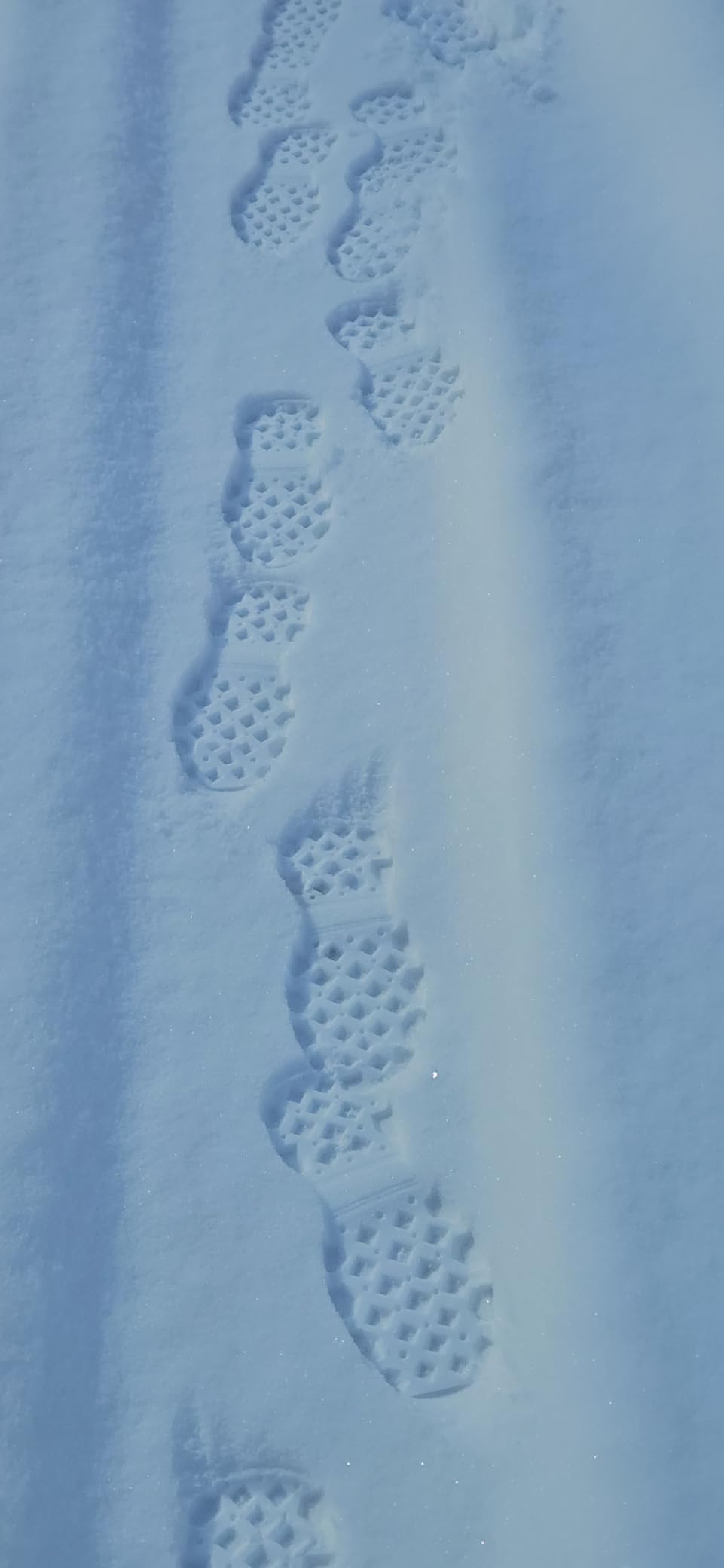 Dryshod Viperstop Men's Warm Weather Snake Hunting Boot Veil Alpine customer photo 1
