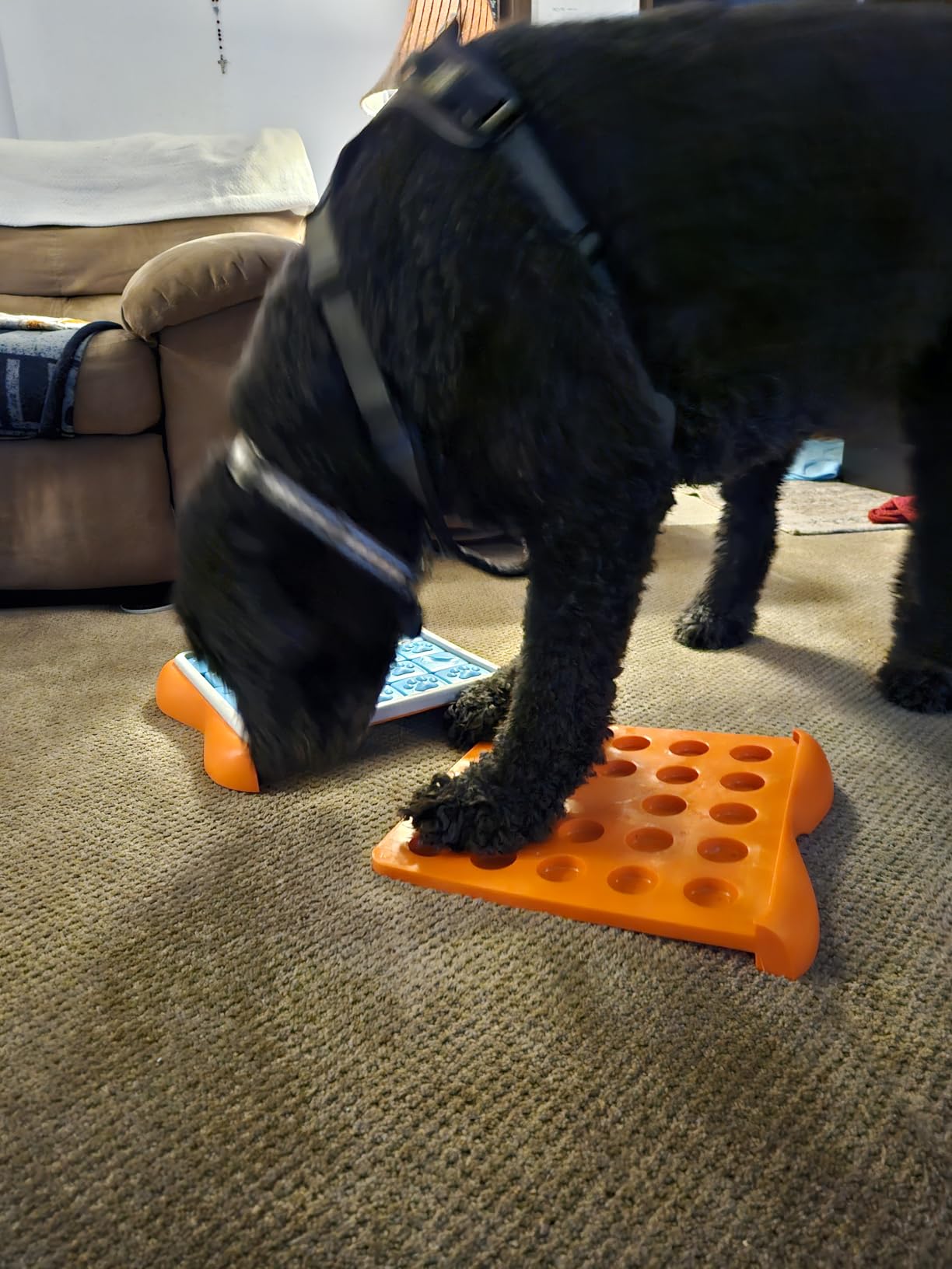 Outward Hound Nina Ottosson Challenge Slider Dog Toy Treat Puzzle, 14.7