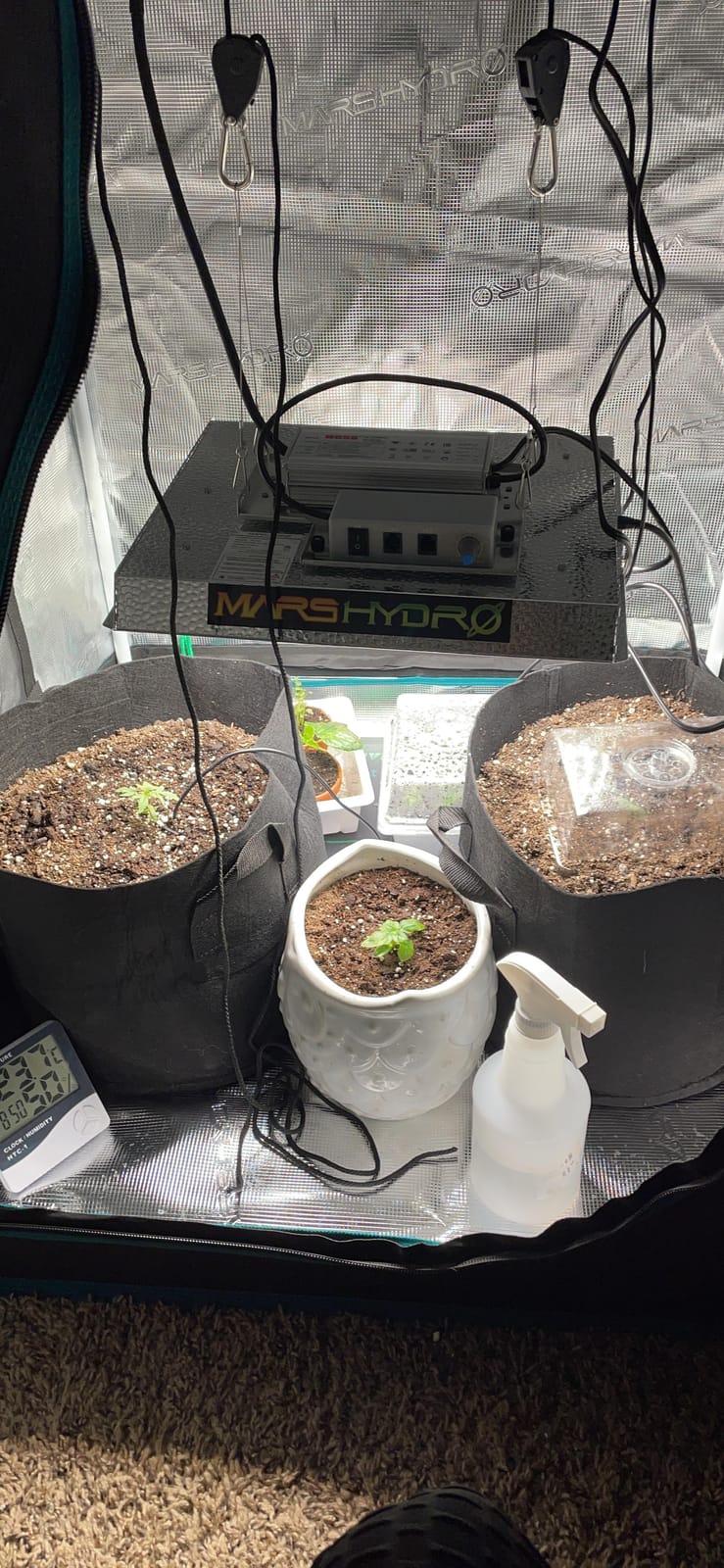 MARS HYDRO 3x3 Grow Tent Kit with TS1000 150W Full Spectrum LED Grow Light customer photo 2