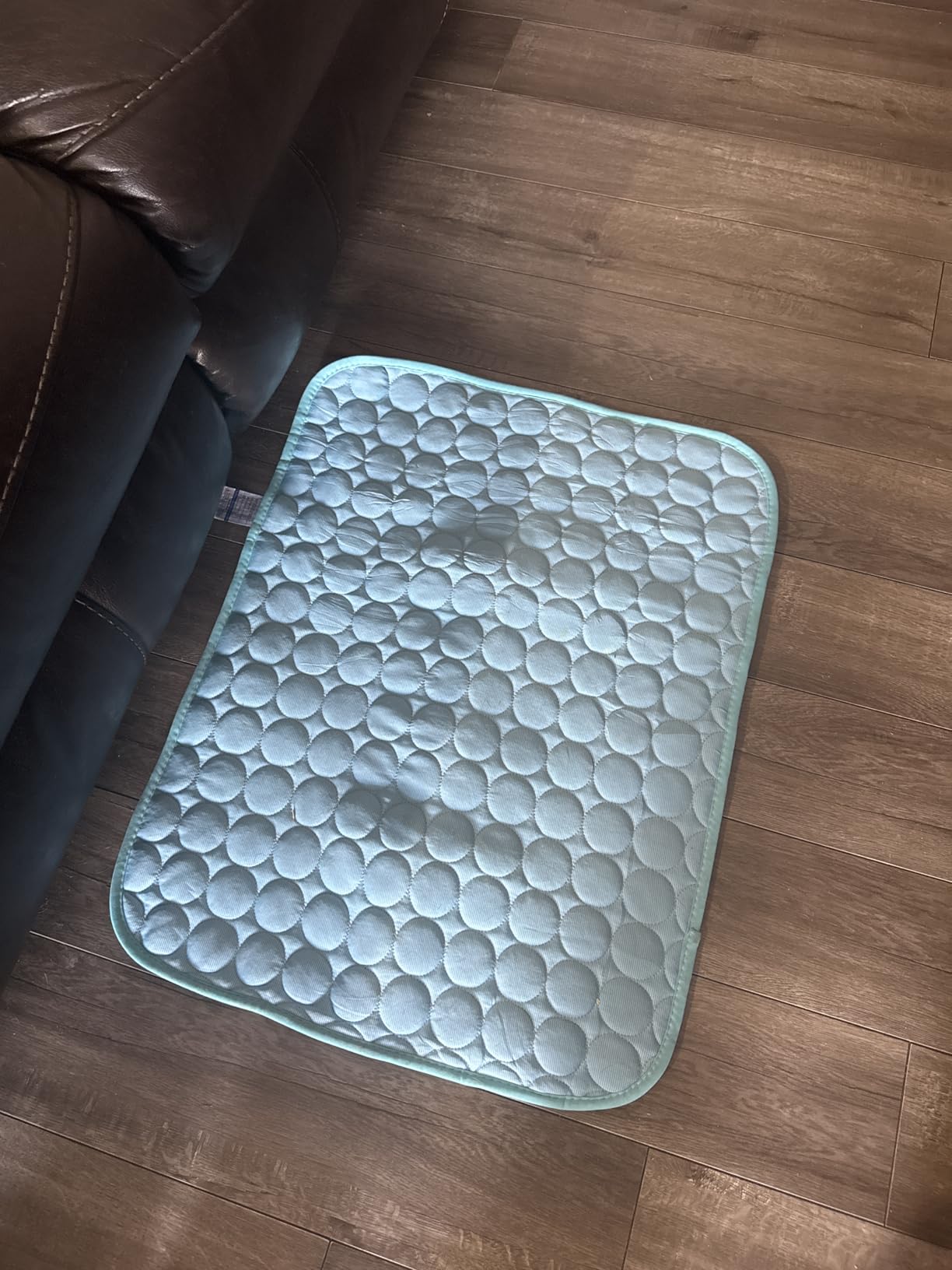 MICROCOSMOS Summer Cooling Mat & Sleeping Pad- Water Absorption Top, Materials Safe, Easy Carry, EZ Clean. Keep Cooling for Pets, Kids and Adults.(Blue, 28