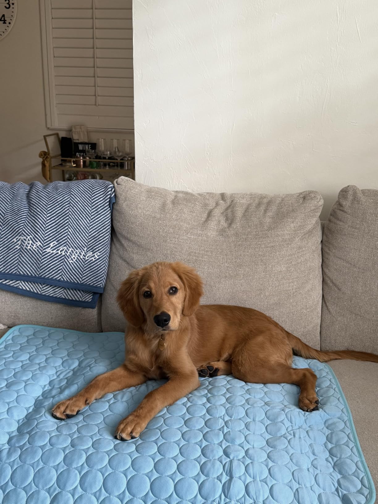 MICROCOSMOS Summer Cooling Mat & Sleeping Pad- Water Absorption Top, Materials Safe, Easy Carry, EZ Clean. Keep Cooling for Pets, Kids and Adults.(Blue, 28