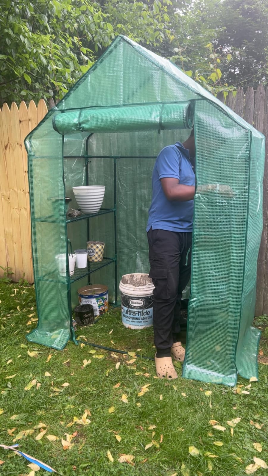 56x30x76 Portable Walk-in Greenhouse for Outdoors, Plant House with Shelves customer photo 2