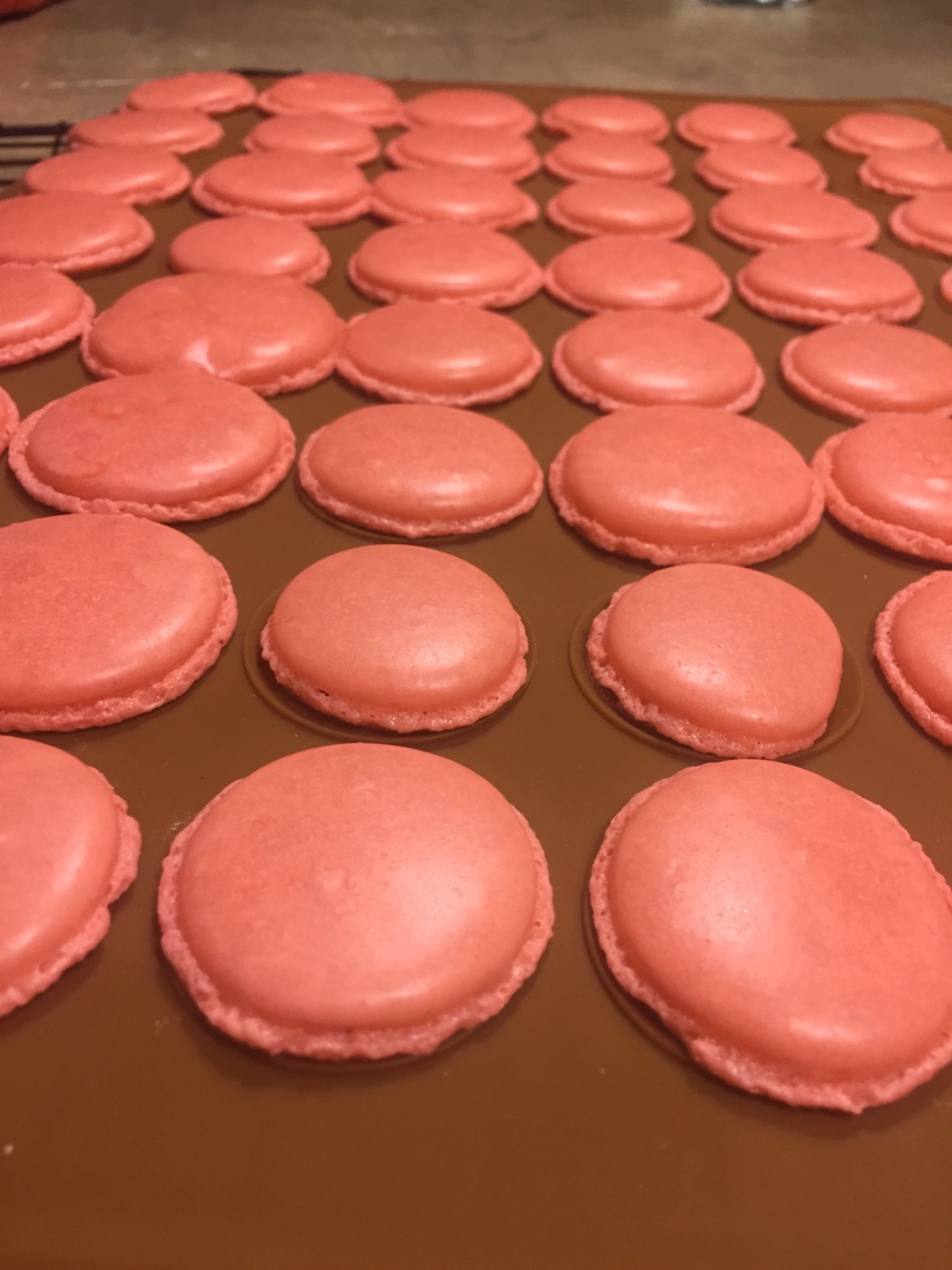 48 Hole Macarons Silicone Mat Baking Mold Silicone Macaron Kit Pastry Baking Mat and Decorating Piping Pot with 4pcs Nozzles customer photo 1