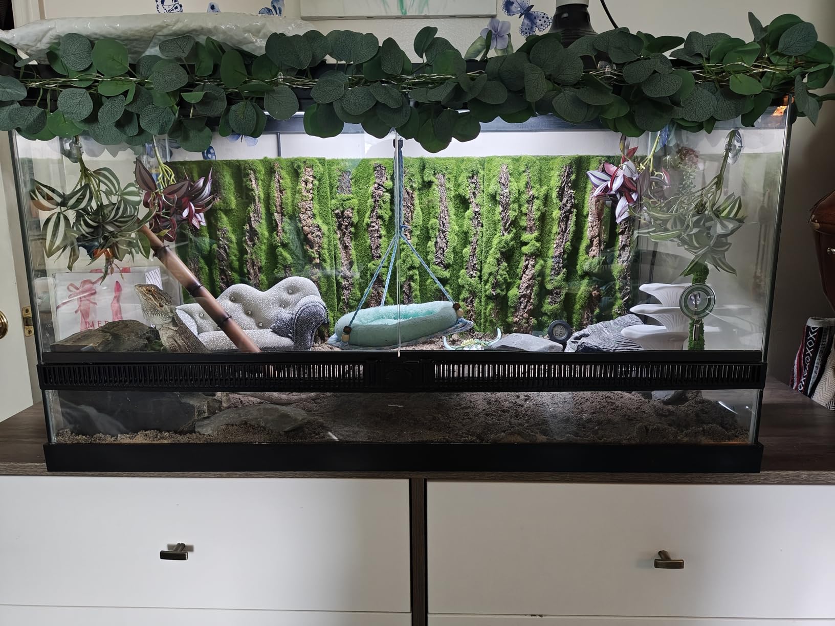 PINVNBY Cork Terrarium Background,Reptile Bark Backdrop Wall Decor and Artificial Moss for Gecko,Lizard,Tortoise,Chameleon (2 Pack) customer photo 2