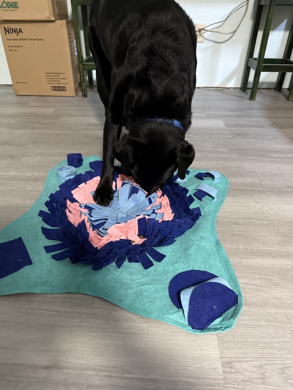 PET ARENA Adjustable Snuffle Mat for Dogs Puzzle Feeder Toy customer photo 2