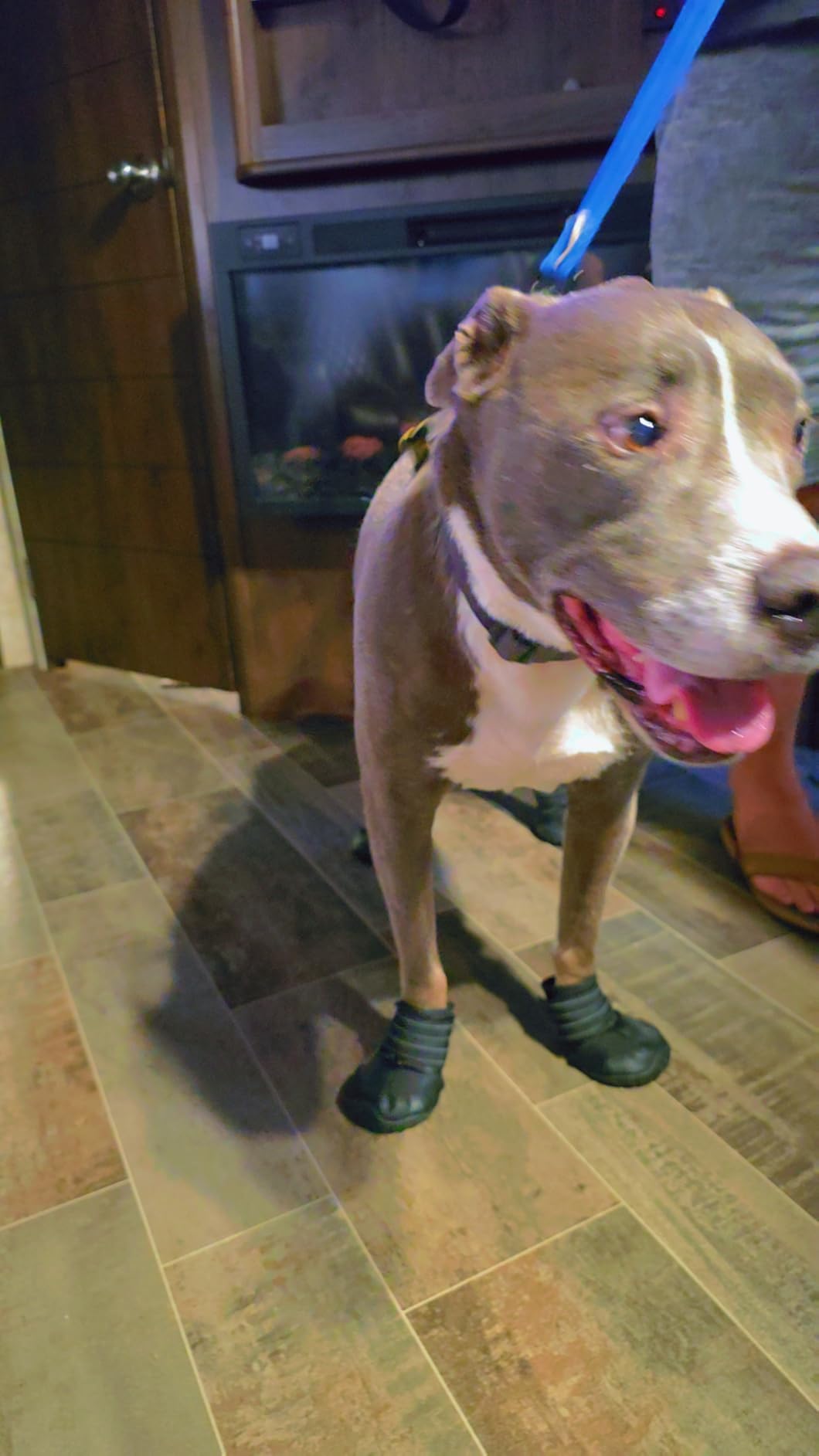 XSY&G Dog Shoes for Hot Pavement, Dog Snow Booties for Medium to Large Dogs customer photo 2