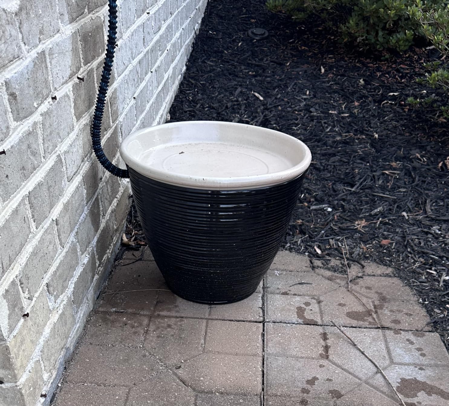 J&B XpandaHose 100ft Expandable Garden Hose, Lightweight, Brass Connectors customer photo 1
