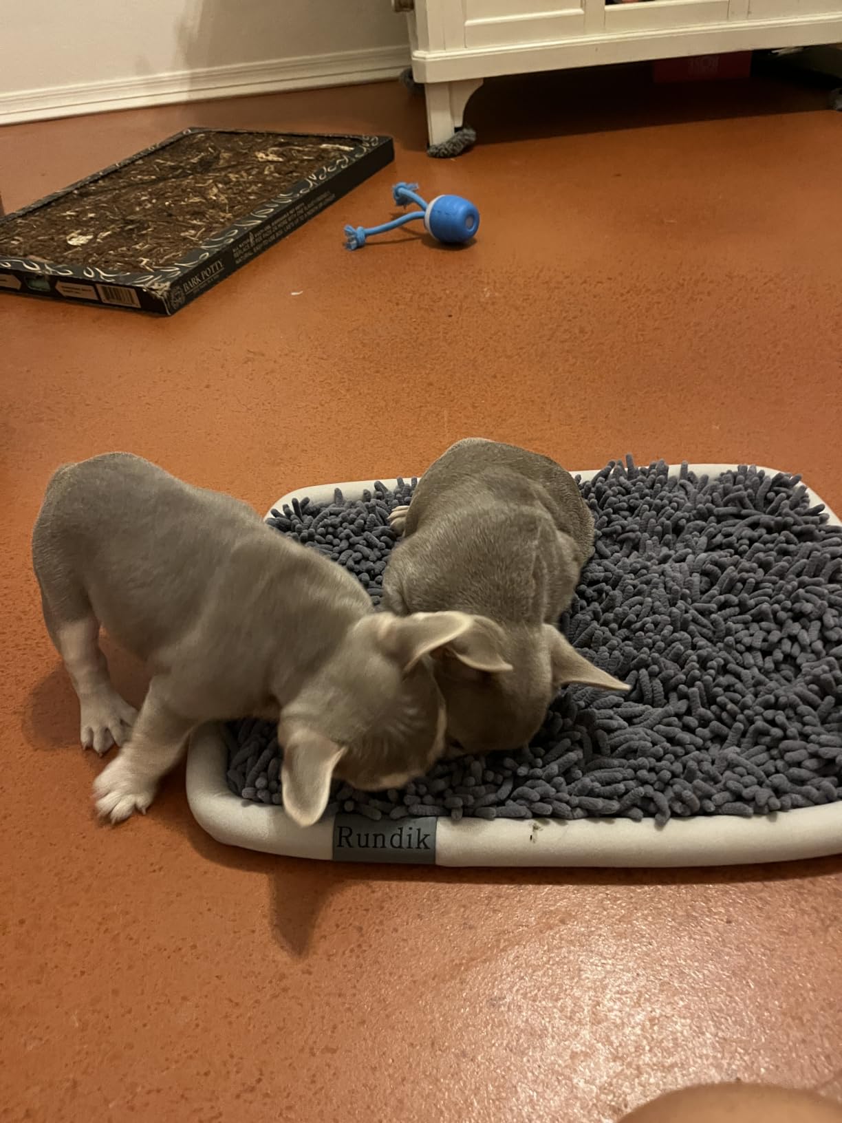 Snuffle Mat for Dogs, Interactive Puzzle Toys Feeding Games for Pets customer photo 1
