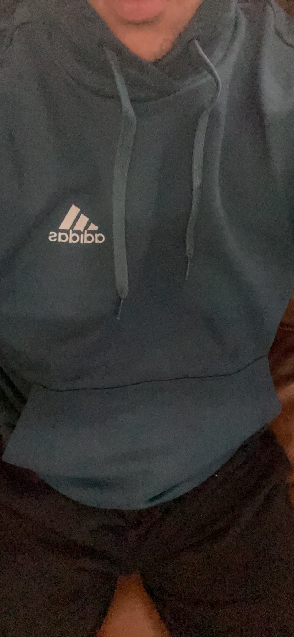 adidas Men's Essentials Fleece Hoodie customer photo 2