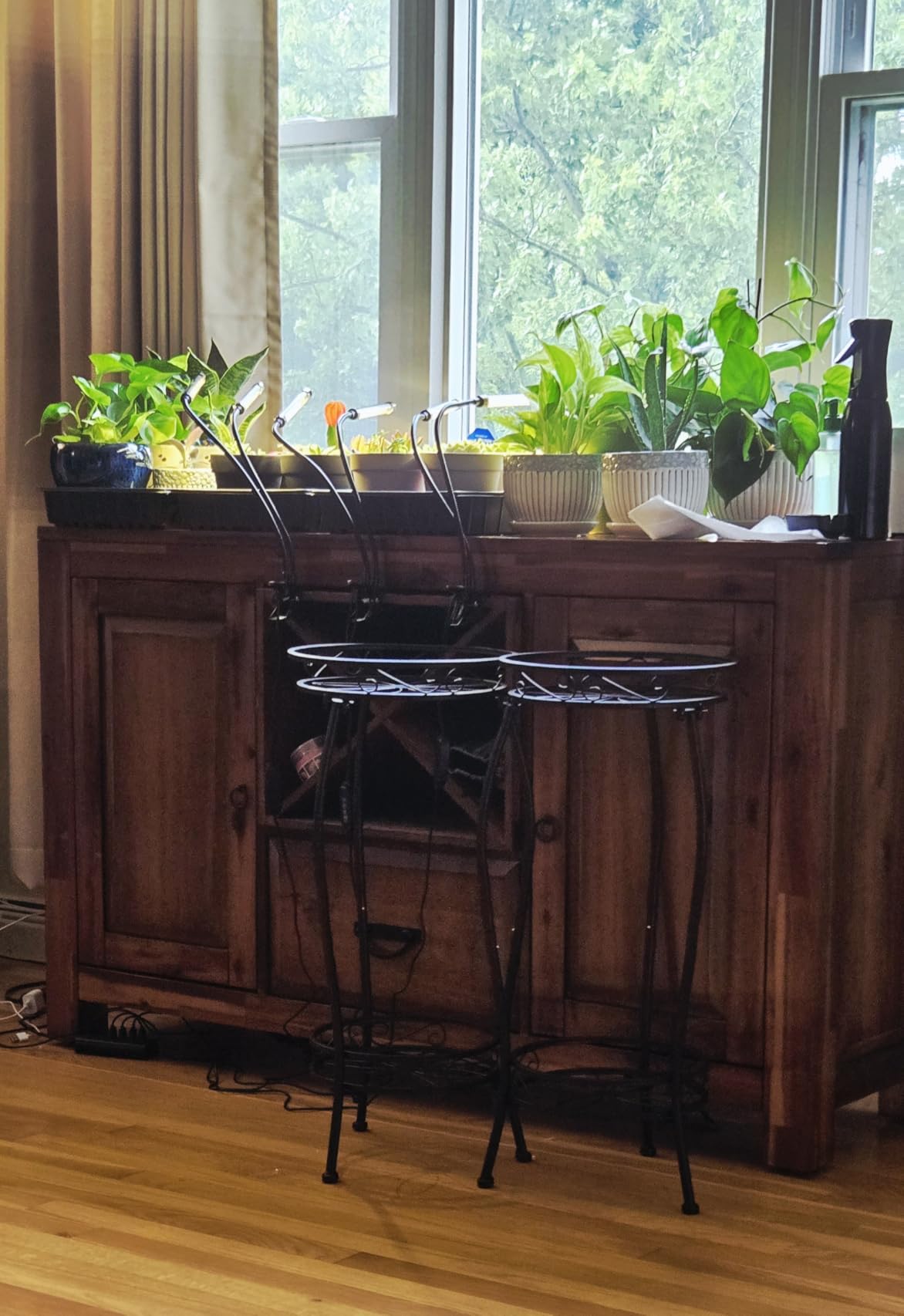 bseah Grow Light Plant Lights for Indoor Plants, Full Spectrum Plant Grow Lamp, 10 Dimmable Levels, Auto ON & Off with 3/9/12H Timer customer photo 2