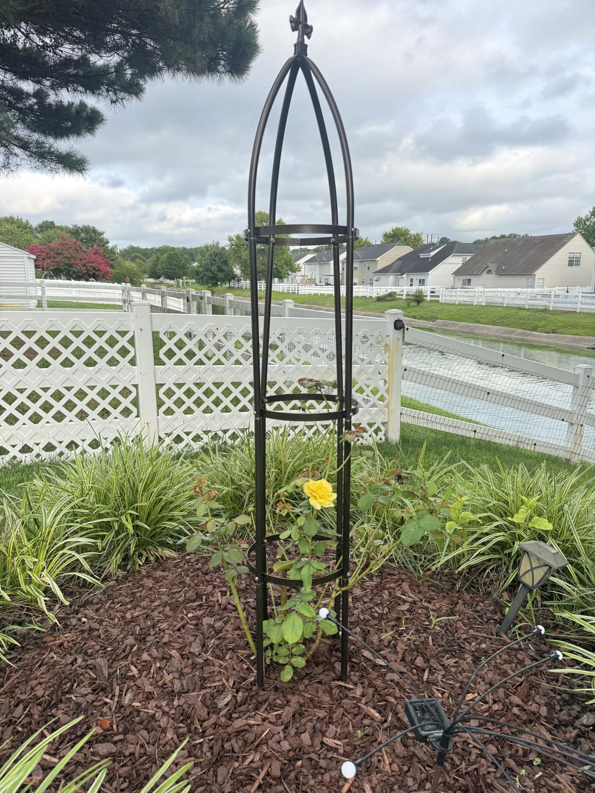 100% Metal Garden Obelisk Trellis Heavy Duty 6.3 ft Tall for Climbing Vines customer photo 1