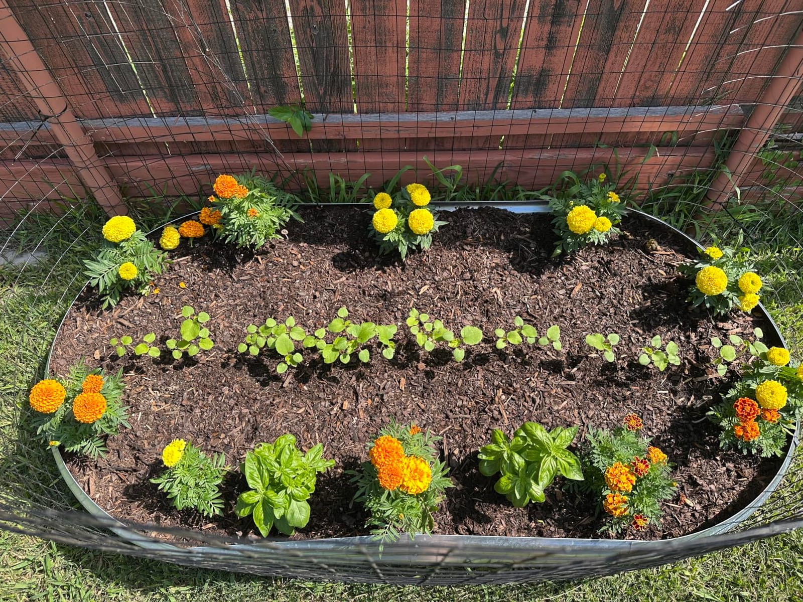 Land Guard 6ft Metal Raised Garden Bed,2 Pcs Galvanized Planter Raised Beds for Vegetables………… customer photo 2